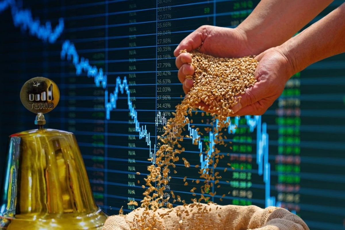 Ticaret Bakanlığı, Ürün İhtisas Borsası'nda yönetmelik değişikliğine gitti, aracı kuruluşlara kendi hesabına vadeli işlem imkânı tanındı