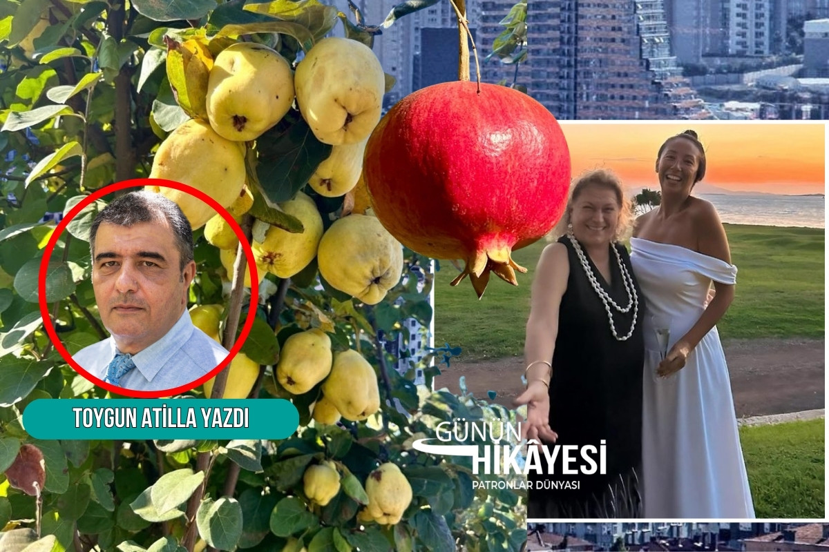 Güler Sabancı'nın sosyal medyasından paylaştığı nar ağaçlarının bereketinden, günümüz Türkiye'sinin 'beton bereketi'ne zihinsel bir yolculuk yaptım