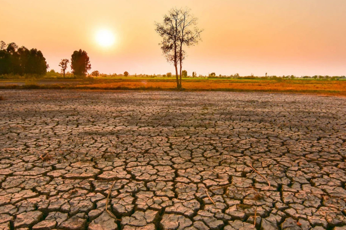 El Nino, dünya genelinde kuraklık, sel ve kasırgaların etkisini şiddetlendiriyor