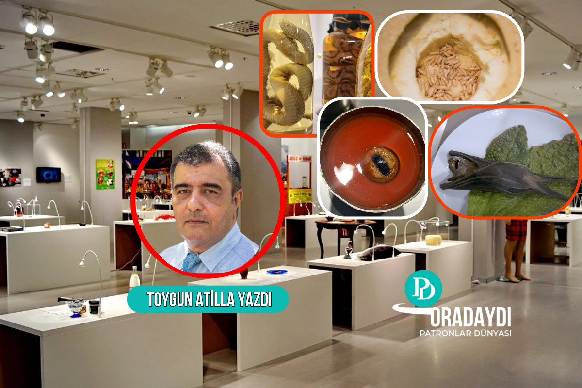 Berlin’deki İğrenç Yemekler Müzesi, kelle paça, şalgam ve kültür ekonomisi