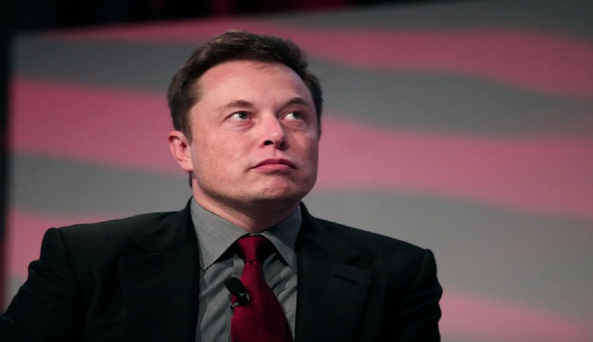 Elon Musk: Twitter kurallara uymazsa kapatılır