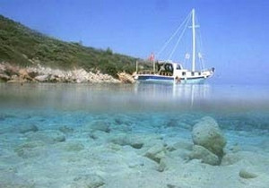 Şarık Tara adayı kaça satın aldı?