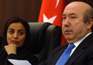 2007'de 22 milyar dolar geldi
