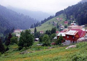 Yaylalar turizme açılıyor; butik otel yapabilir siniz
