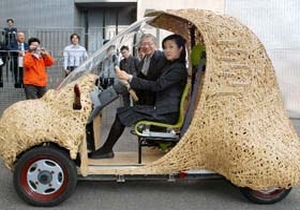 Bambu ağacından elektrikli otomobil
