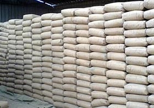 'Bekir' ile gelen başarı!