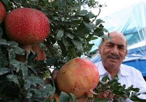 Girişimcinin hazin öyküsü mutlu bitti