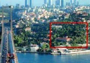 Kedi kavgası süper araziyi sattırıyor