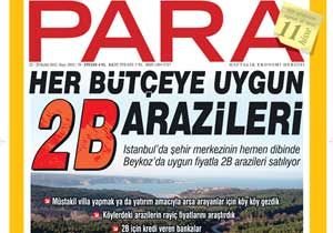 Koç nerede arazi kovalıyor: İşte en uygun araziler