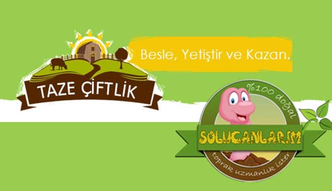 511 Milyon battı: Çiftlik Bank benzeri siteler vurguna devam ediyor!