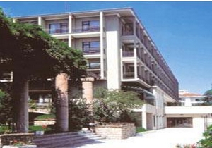 Çelik Palas 31.6 milyon dolara Toray İnşaat'ın