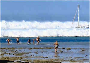 Tsunami 341 kişiyi yuttu