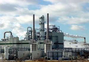 Yargıdan Cargill'e kötü haber