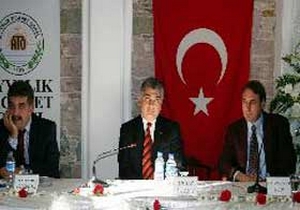 Zeytin bizden satmak Avrupadan