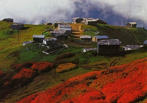 Yatırımlardan en yüksek pay Artvin'e