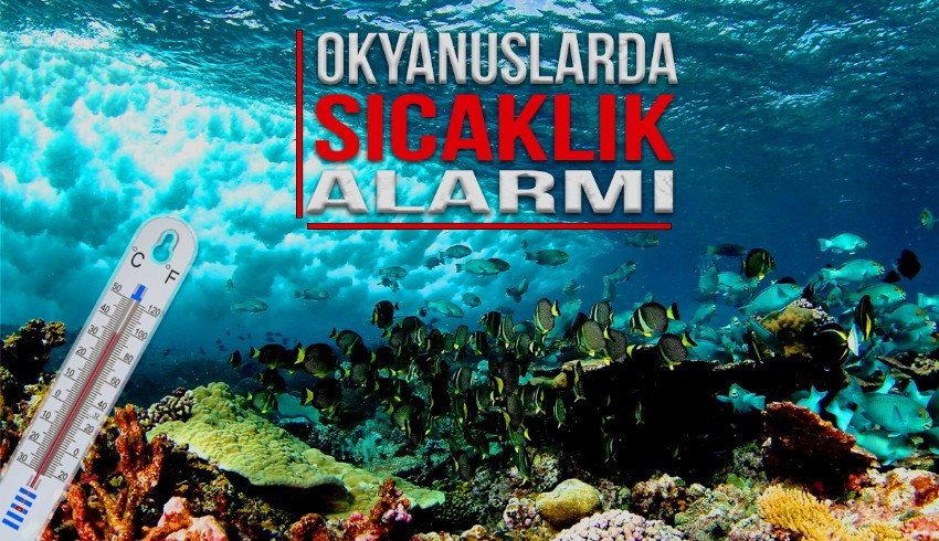 900 milyon insan tehdit altında