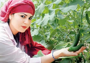 Ayda 500 TL'ye hazır çiftlik kiralayabilirsiniz