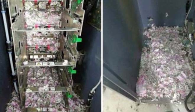 ATM'ye giren fareler 9 milyon lirayı yedi