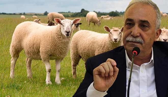 Bakan, Genel Müdürü azarladı... TİGEM’de 34 milyon lira kimin cebine gidecekti?
