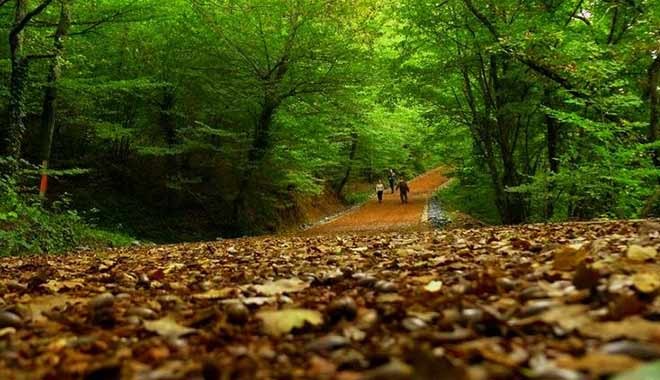 Belgrad Ormanı Milli Park mı oluyor?