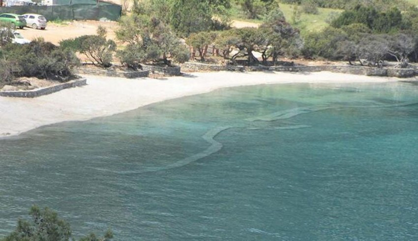 Bodrum'da sahile beyaz kum döken firmaya işlem