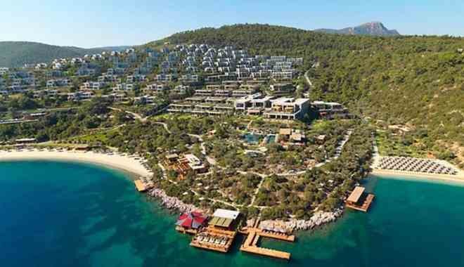 Bodrum'daki milyonluk villaların olduğu Mandarin Sitesi domuz istilasına uğradı