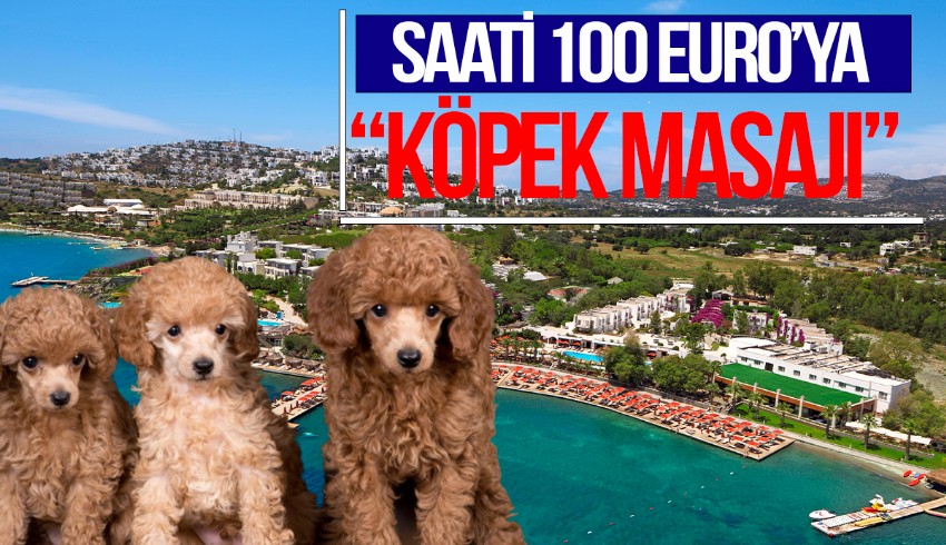 Bodrum’daki otelde köpeklere SPA