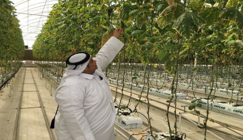 Cumhurbaşkanlığı Yatırım Ofisi ve Türkiye'nin Doha Büyükelçiliği Ticaret Müsavirliği tarafından Türkiye'de tarım alanında yatırım imkanları tanıtıldı