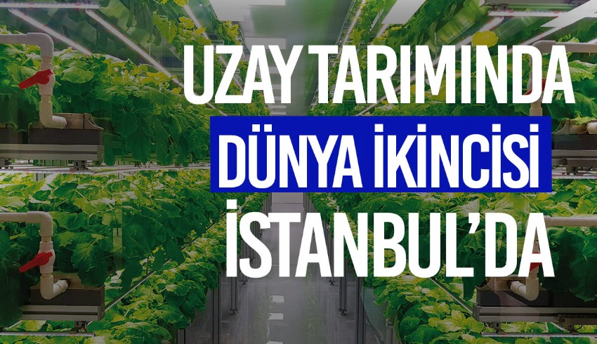 Dikey tarım uygulamasında Türkiye dünyada ikinci sırada
