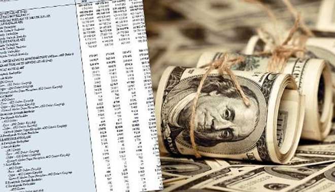 Dolar yükselirken 2,7 milyar doları kimler aldı?