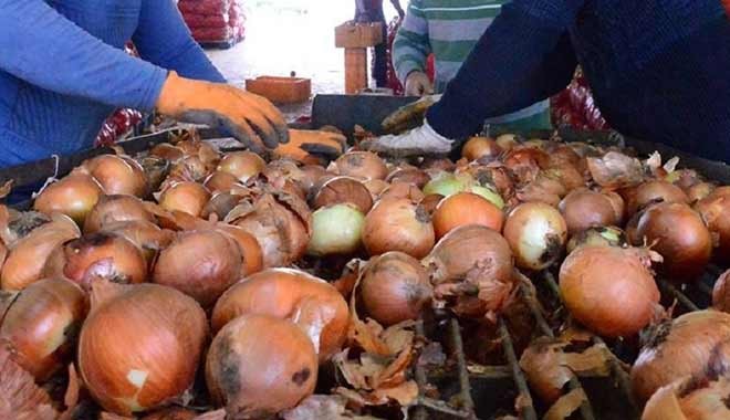 Büyükşehirlerde soğan 7-8, domates 10-12, sivri biber 25 TL'ye kadar tırmandı
