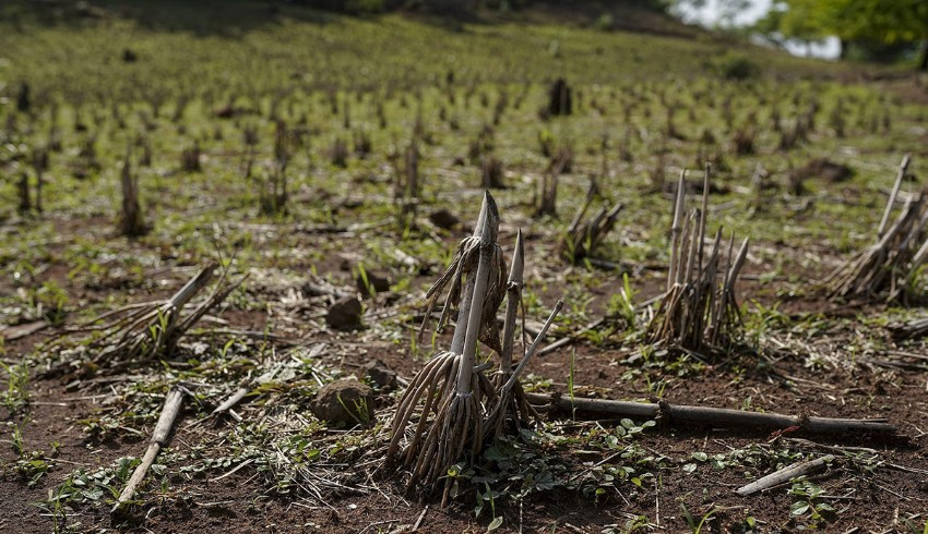 El Nino'nun küresel ekonomiye zararı 3 trilyon dolar
