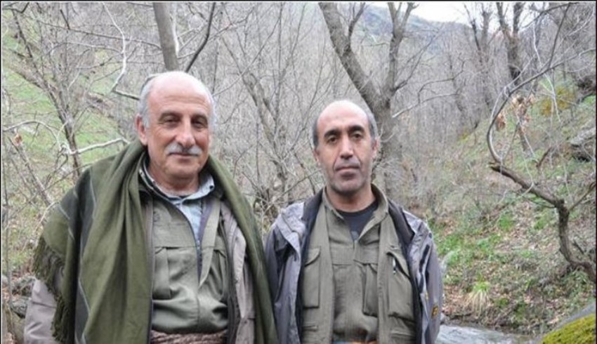 Gri listedeki PKK'li etkisiz hale getirildi