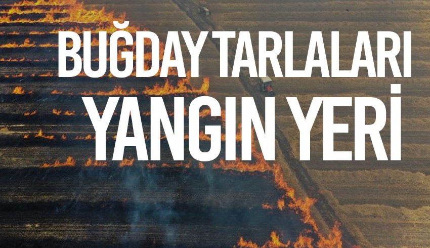 Havalar ısınıyor, buğday tarlaları alevlere teslim oluyor...