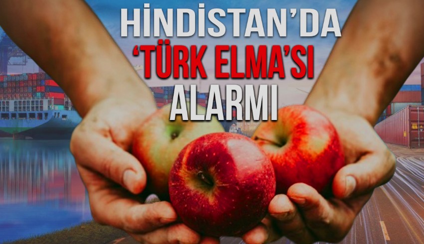 Hindistan, ABD'ye uyguladığı yüzde 20'lik ek vergiyi kaldırdı