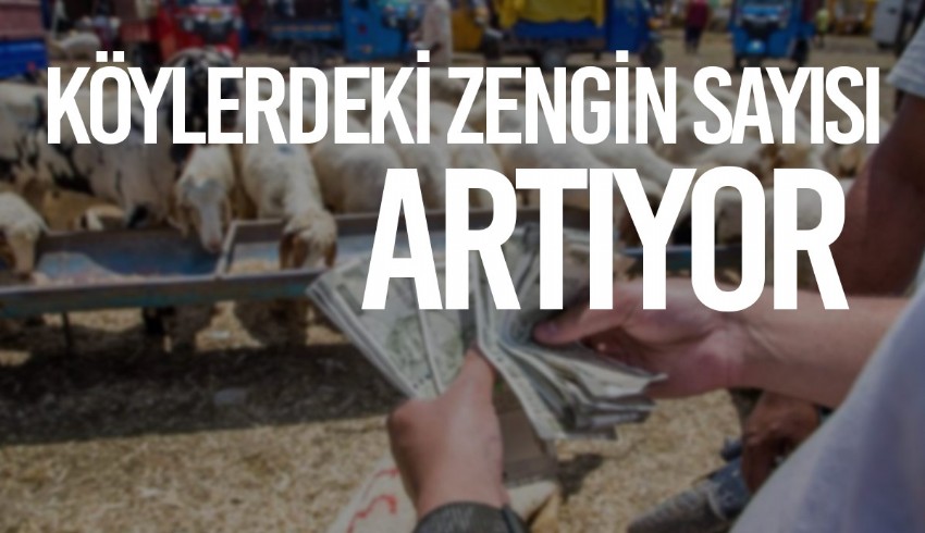 Hindistan'daki kırsallarda 10 yıl içinde "süper zenginler" ortaya çıkacak