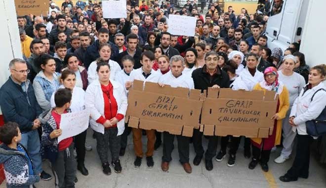 İhracat şampiyonu Lades Piliç konkordato istedi