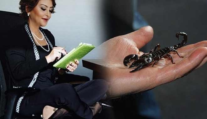 İş dünyasının 40 ismi bir araya geldi, akrep çiftliği kurdu: Panzehiri TSK da kullanacak