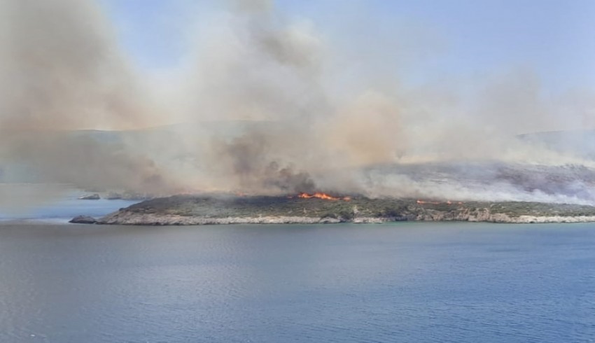 İzmir Urla'da çıkan yangın kontrol altına alındı