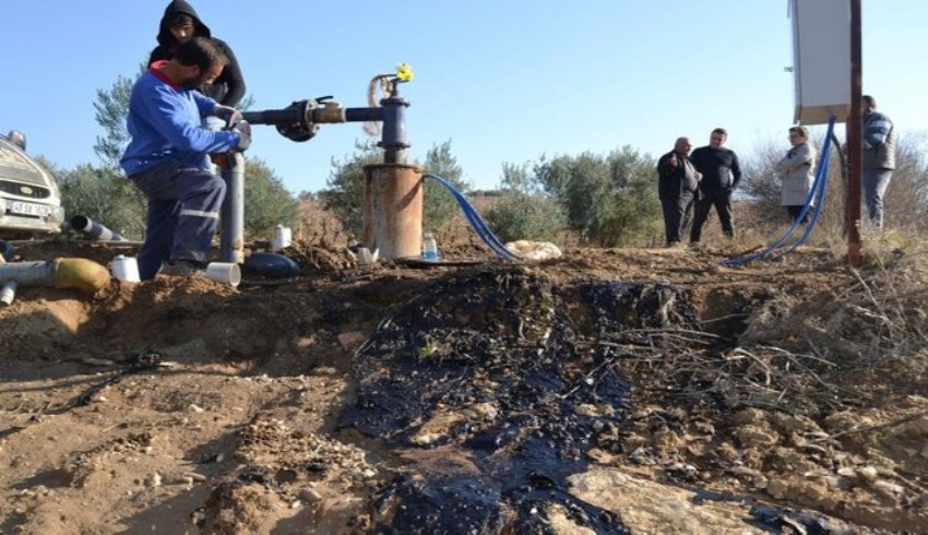 Kato'da milyar dolarlık petrol keşfi