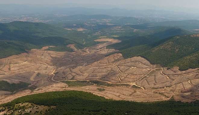 Kanadalı Alamos Gold'un Kaz Dağları inadı!