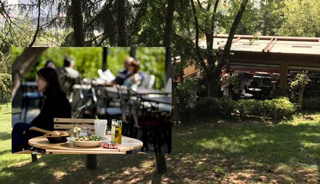 Maçka Parkı'na çökmüşler, çayı 8 TL'ye veriyorlar