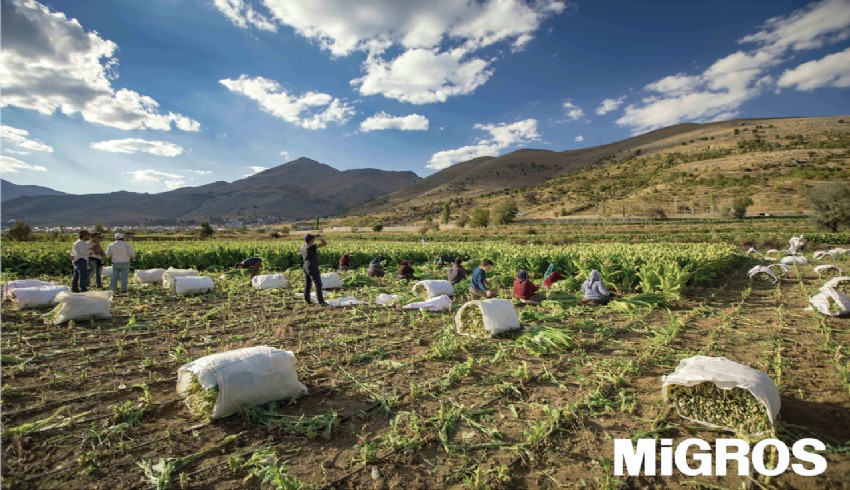 Migros, deprem bölgesindeki 300 ton ürünü alacak