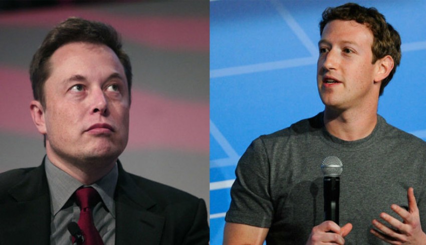 Musk'ın "kafes dövüşü" teklifine Zuckerberg'den olumlu yanıt