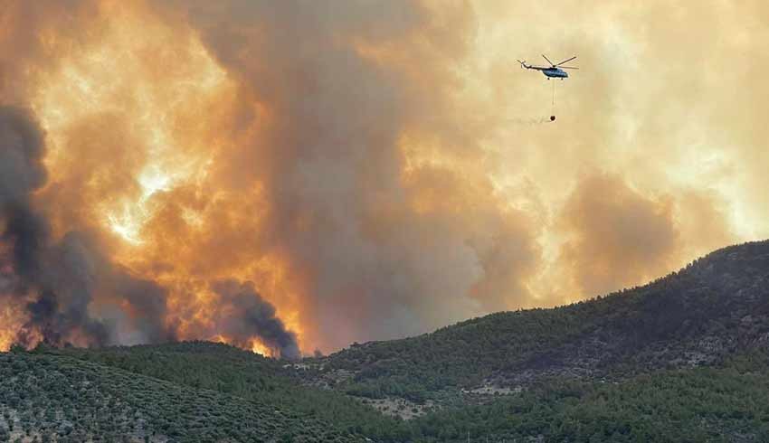 Ormanlarımızın yok olmasındaki skandal tablo! Yangınlar arttı, uçaklar azaldı