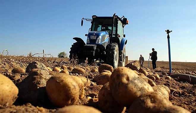 Patates ithalatında gümrük vergisi sıfırlandı