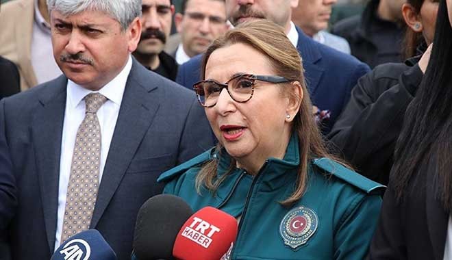 Pekcan: Zeytin Dalı Sınır Kapısı haftaya devreye girecek
