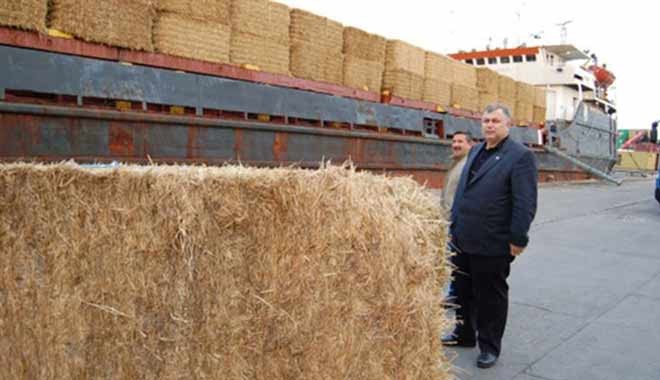 Sırbistan'dan et, Bulgaristan saman, Kanada'dan mercimek ithal ediyoruz