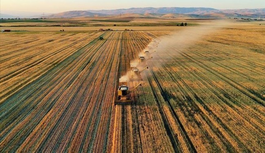 TARSİM 265 milyar TL’lik tarımsal varlığı güvence altına aldı