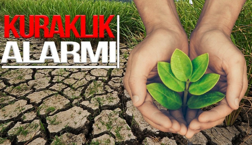 TEMA uyardı: Türkiye’nin dörtte üçü çölleşme tehlikesiyle karşı karşıya